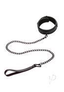 Nocturnal Collection Collar And Leash - Black